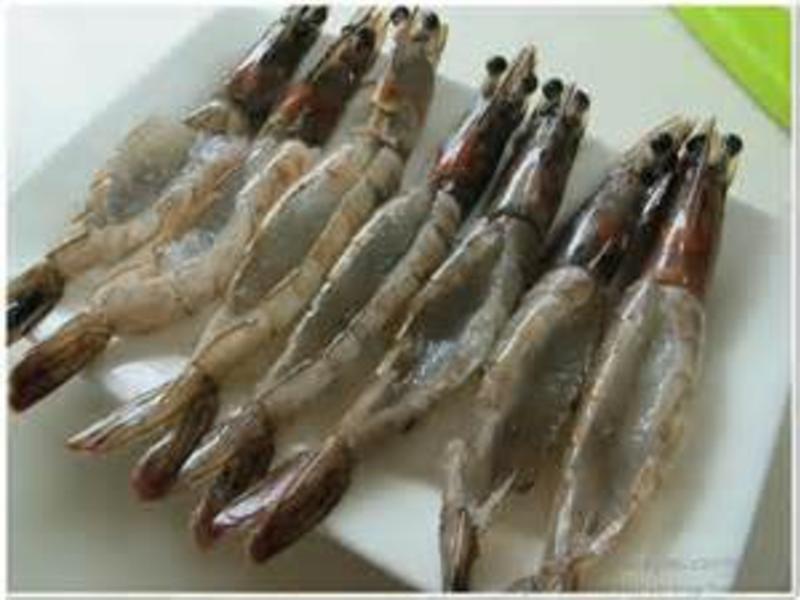 ����������Ϻ������