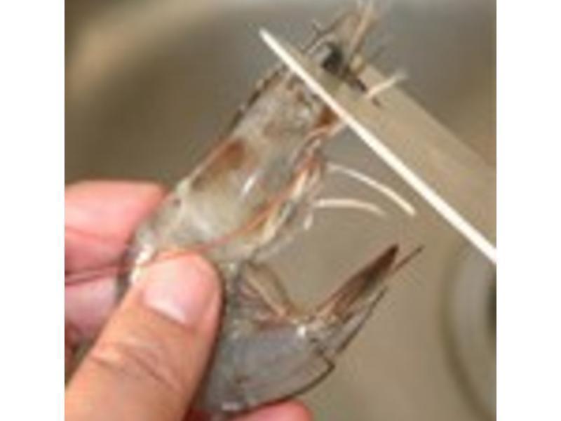 ����������Ϻ������