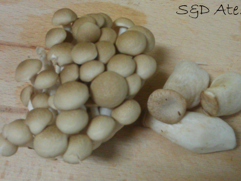 �������������ӱ���������