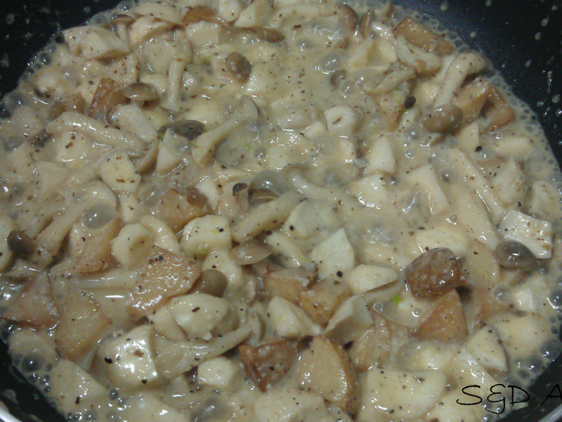 �������������ӱ���������