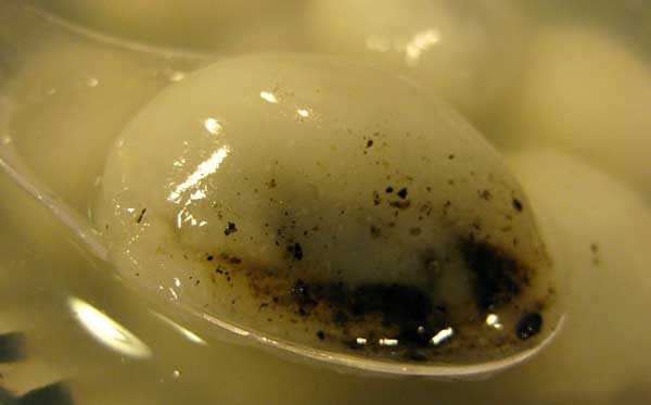 ����С��Բ������