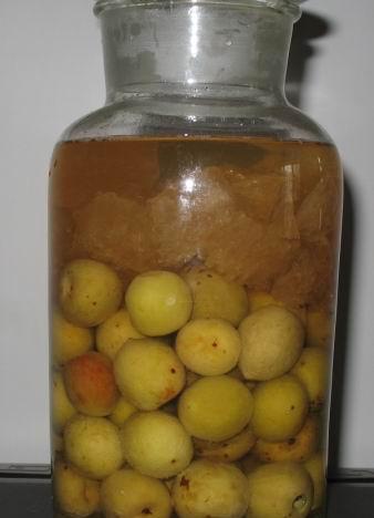 ��÷�Ƶ�����