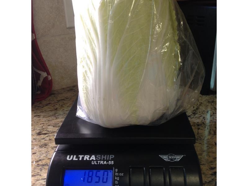 ��ͳ����ζ��ը��Ƥ�ײ�±?!!������