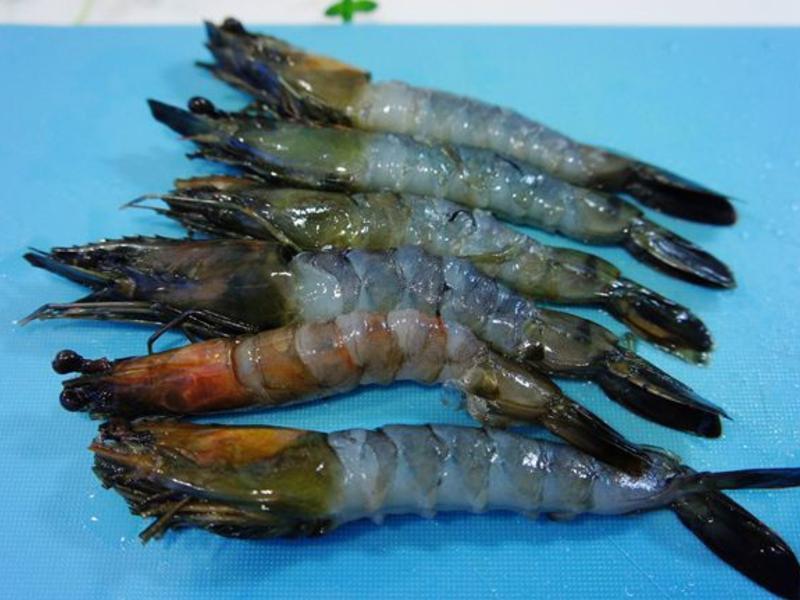 VIVI �������������Ϻ���յ�����