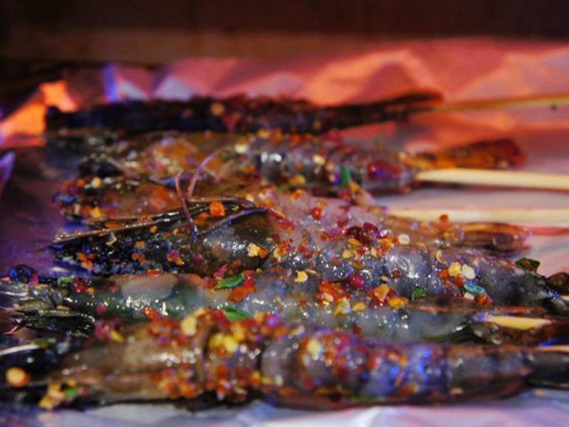 VIVI �������������Ϻ���յ�����