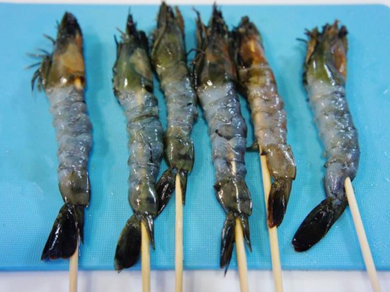 VIVI �������������Ϻ���յ�����