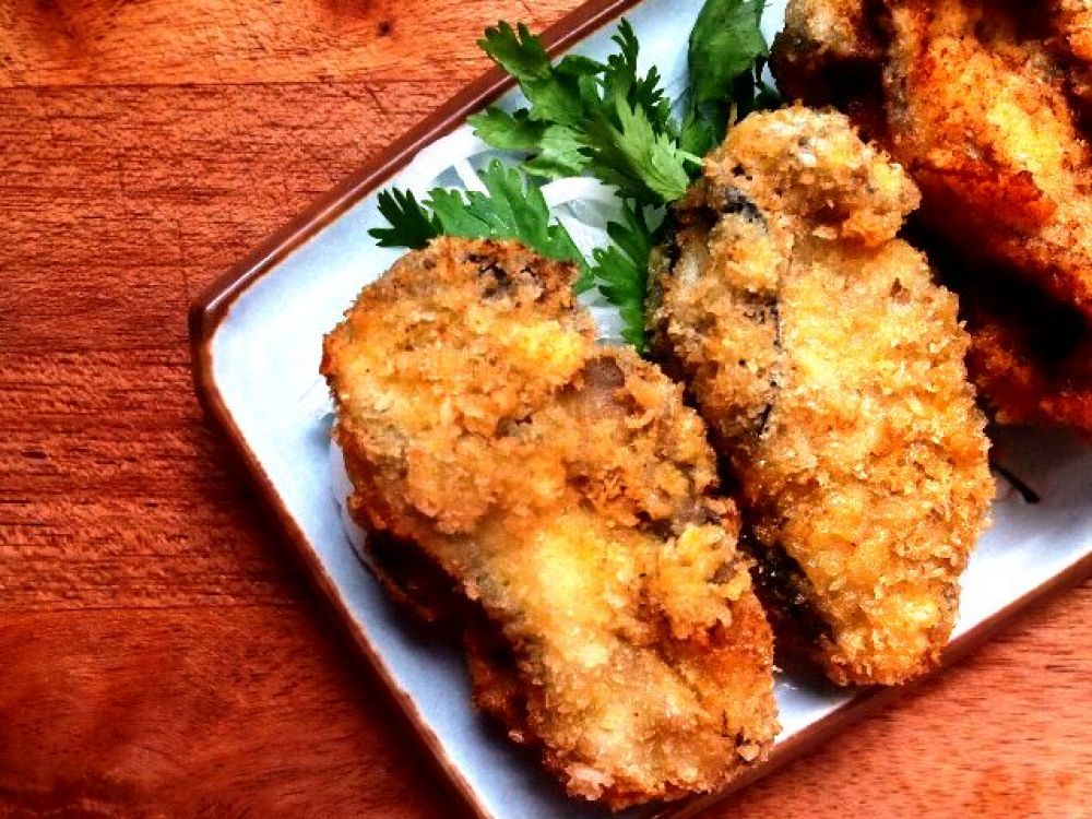 ��ʽը��������