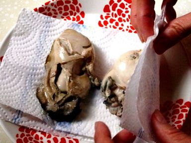 ��ʽը��������