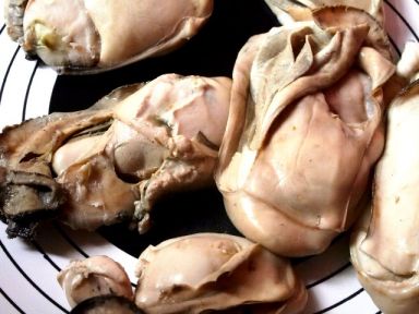 ��ʽը��������