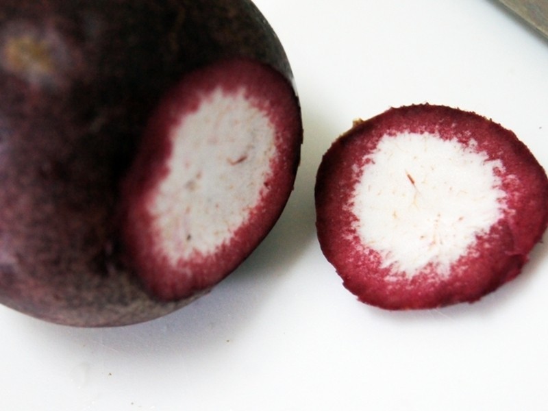 �����������Ϻ������