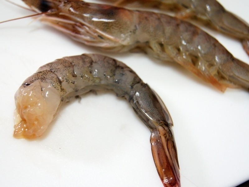 �����������Ϻ������