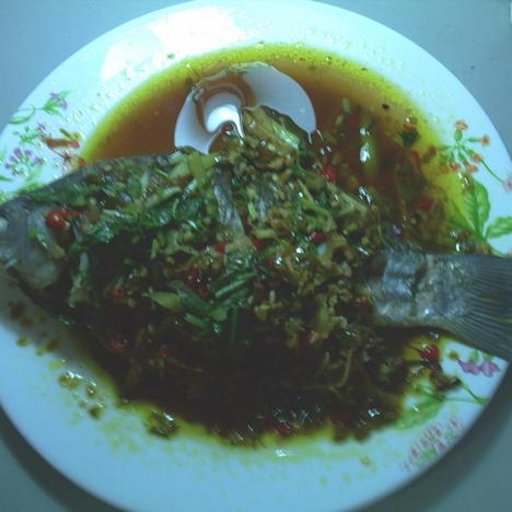 ˫ɫ�������������