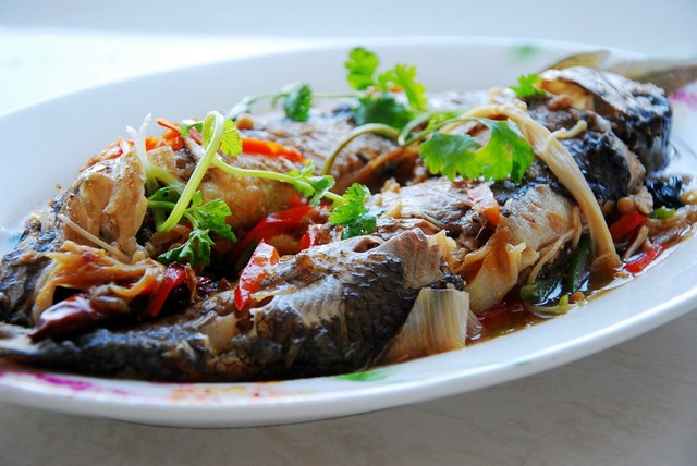 ���ճ���������