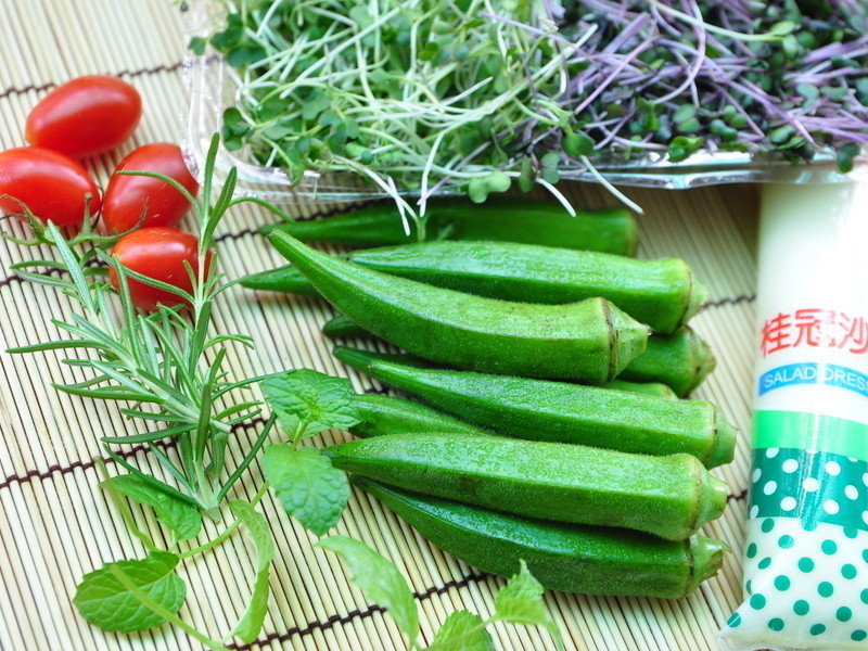 �ǿ��µĲ�ԭ�����ɳ���ͽ�����������