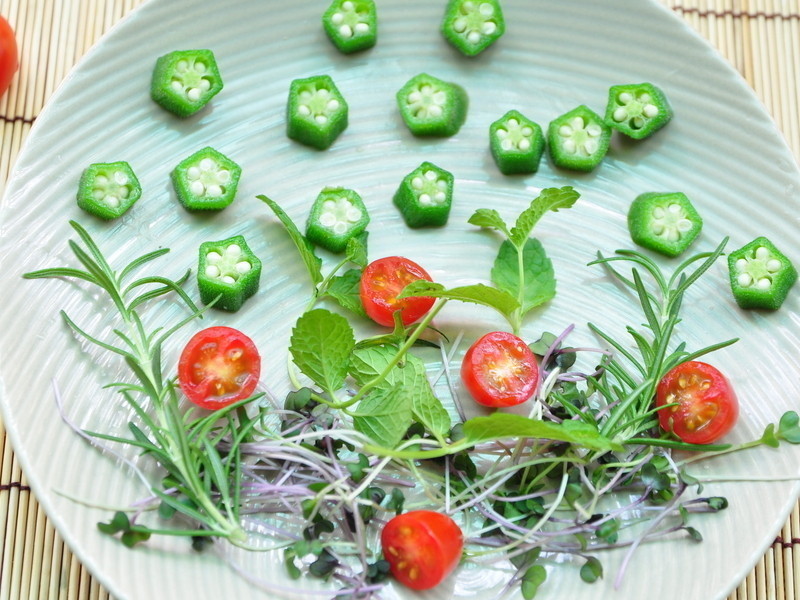 �ǿ��µĲ�ԭ�����ɳ���ͽ�����������