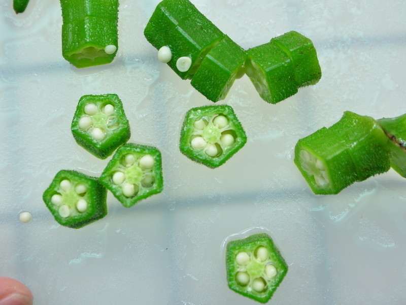 �ǿ��µĲ�ԭ�����ɳ���ͽ�����������