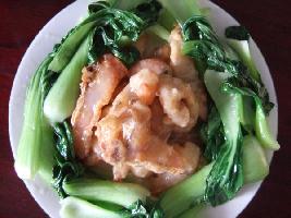 �����Ƭ������