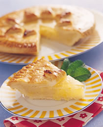 �����ɵ�����