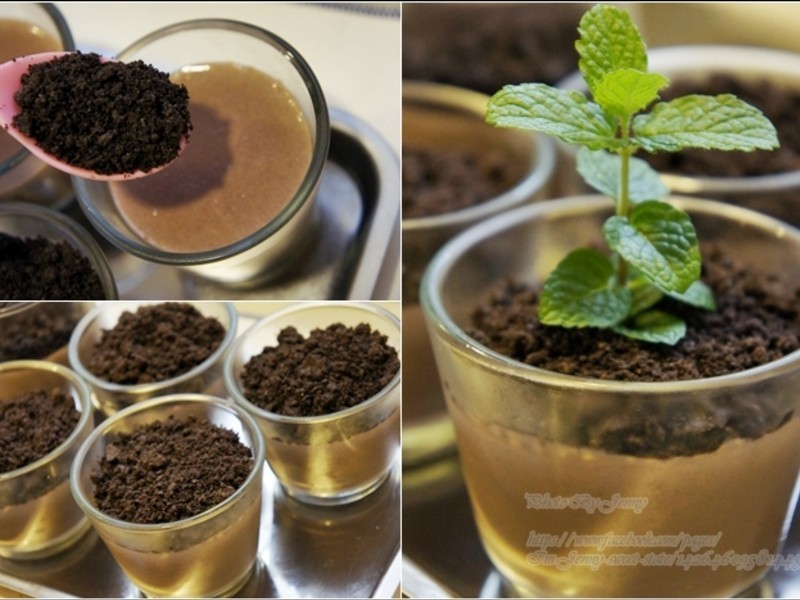 �����ɿ�������������