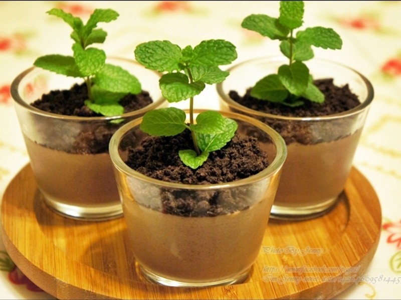 �����ɿ�������������