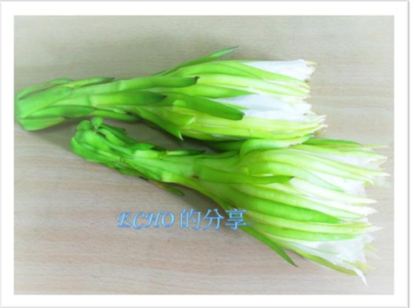 ����������Ƭ��������