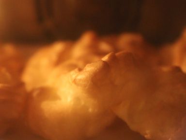 ����ܽ������