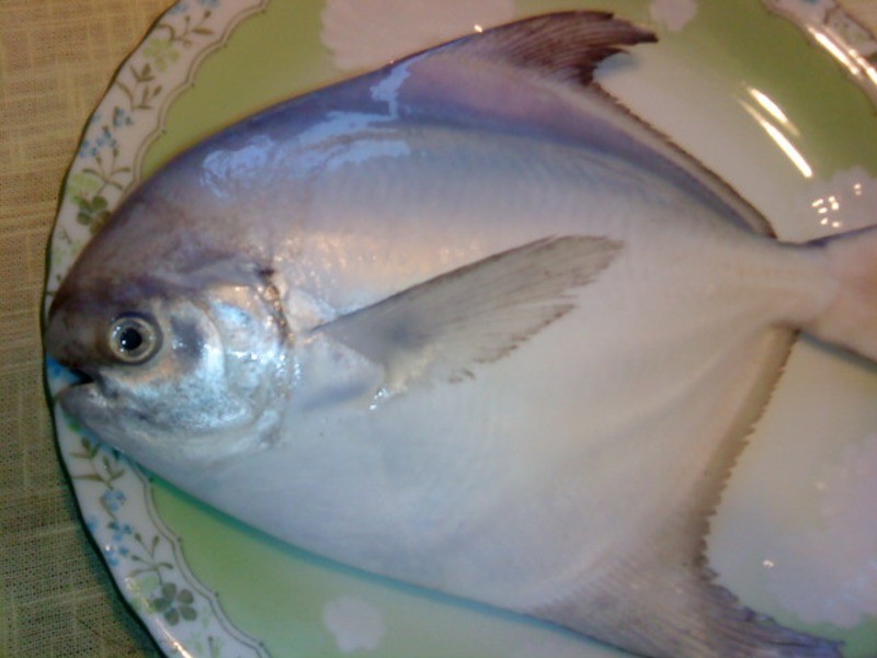 [��������10���ӳ����]�ɼ����(С�����)������