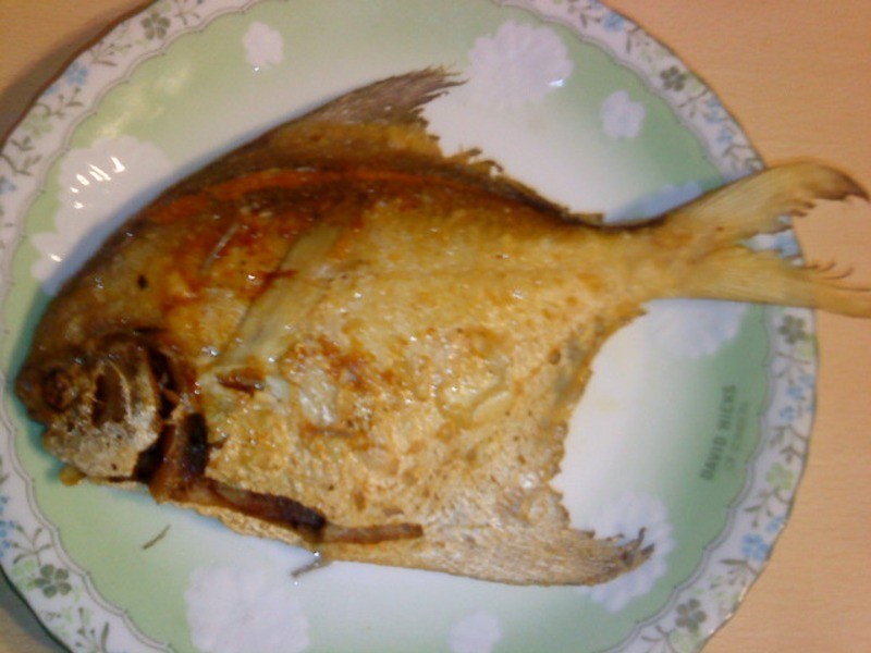 [��������10���ӳ����]�ɼ����(С�����)������