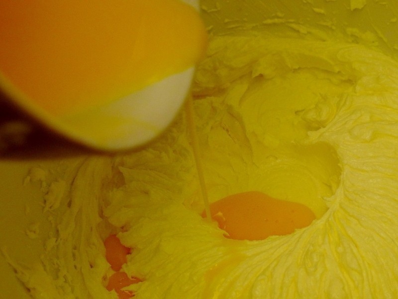 ʥ��ѩ����������