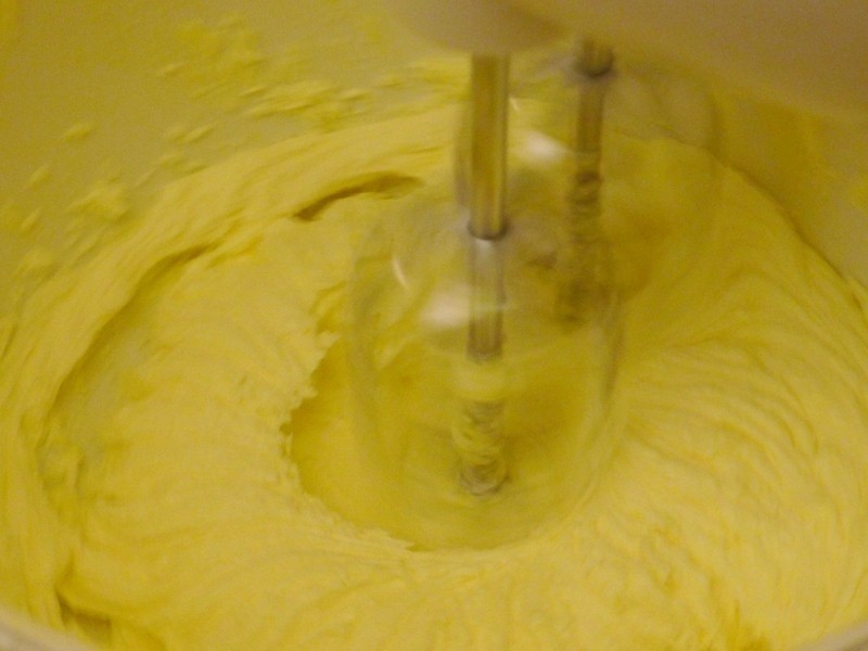 ʥ��ѩ����������