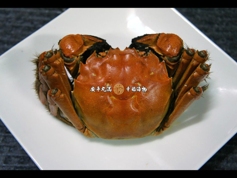 �׾�������բз������