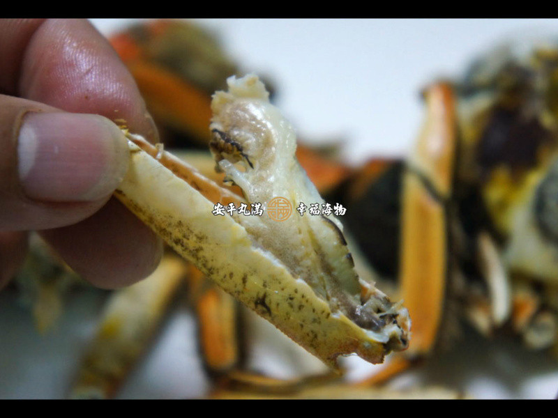 �׾�������բз������