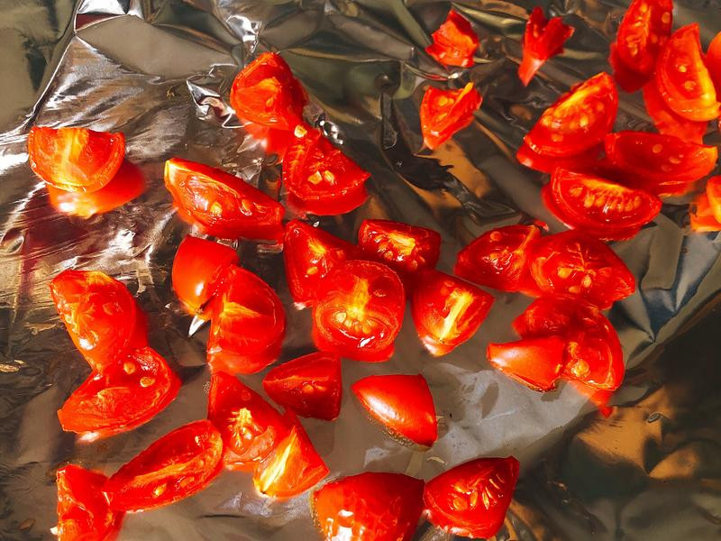 ���������ɳ����������