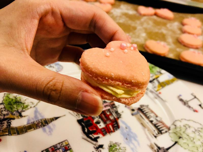 �ۺ찮��������������