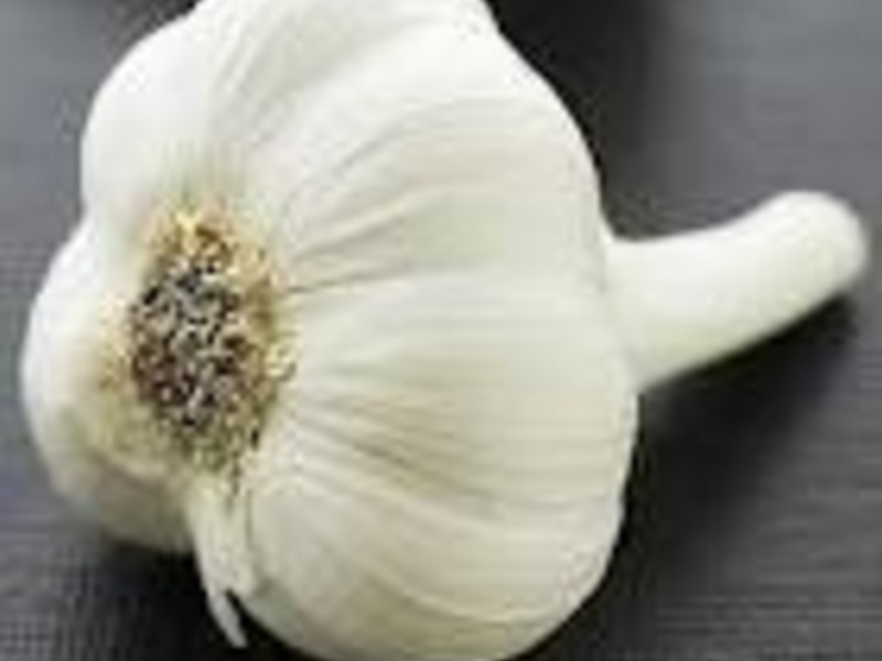 ����������˹����ݿ�ȫ����Poulet r?ti �� la proven?ale��������