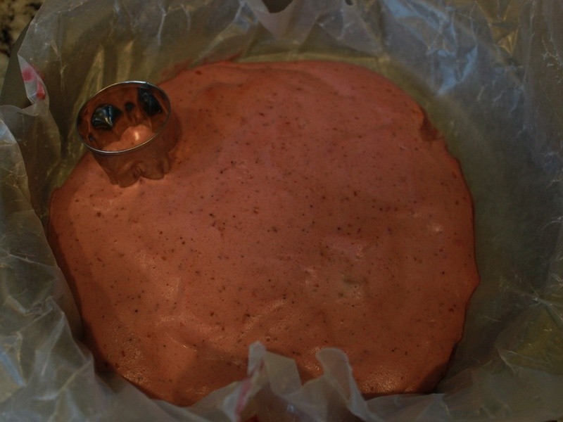 �ɿ˲�ݮĽ˹�����������