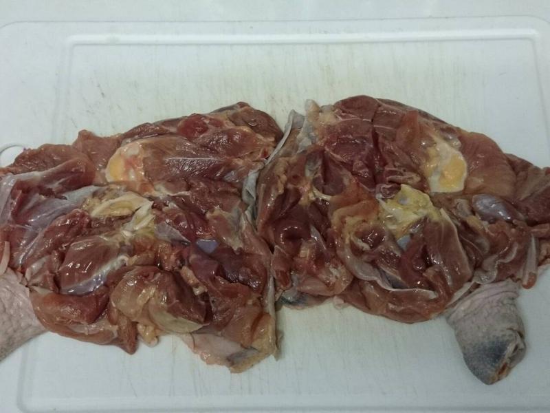 ����Ե��㼦���ŵ�����