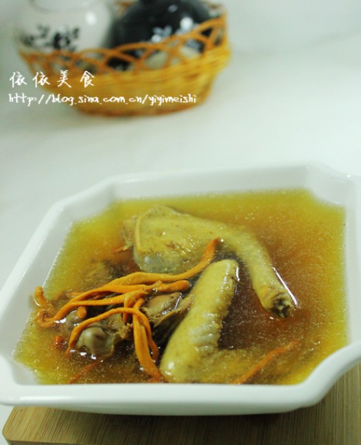 云欣蛹虫草浸乳鸽的做法