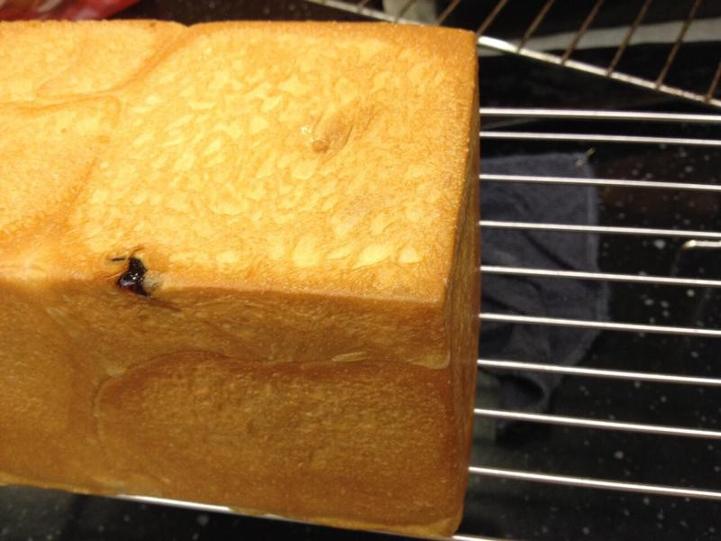 ������˾������