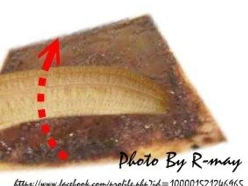 ?�㽶����˾?�������岻ը������