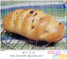 ȫ��ëë�������