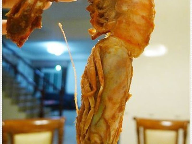 ������������Ϻ������