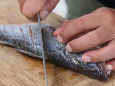 ����������������