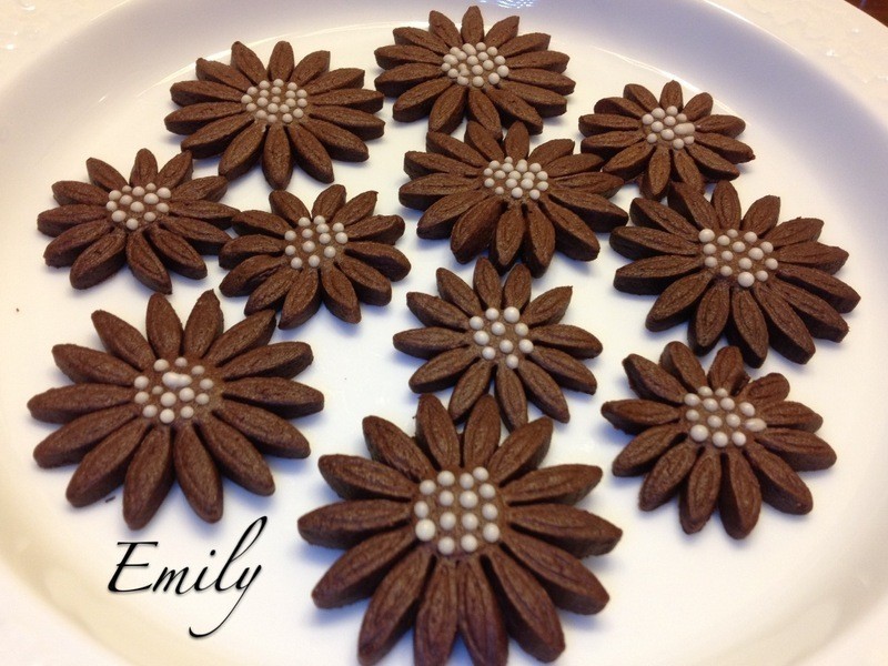 ���տ��ɿ������ɵ�����