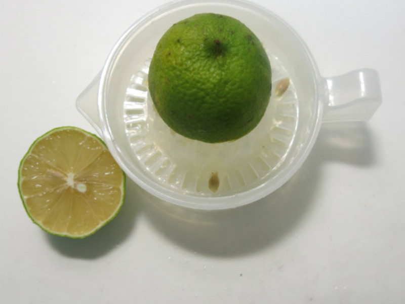 ����ݮ����������