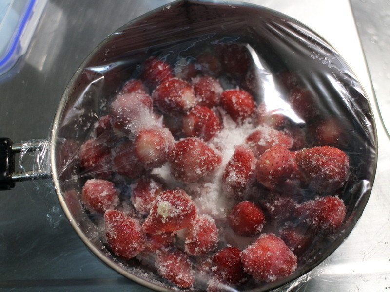 �����ݮ����������