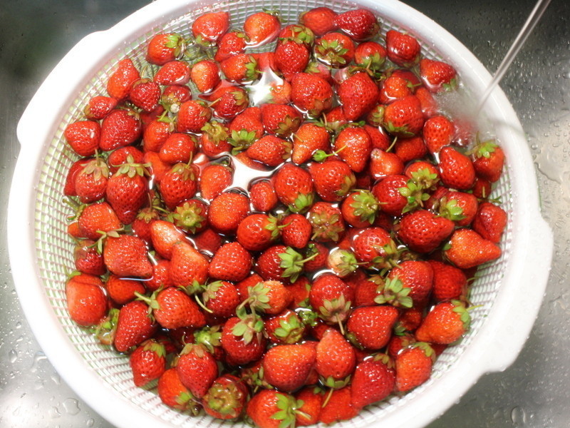 �����ݮ����������