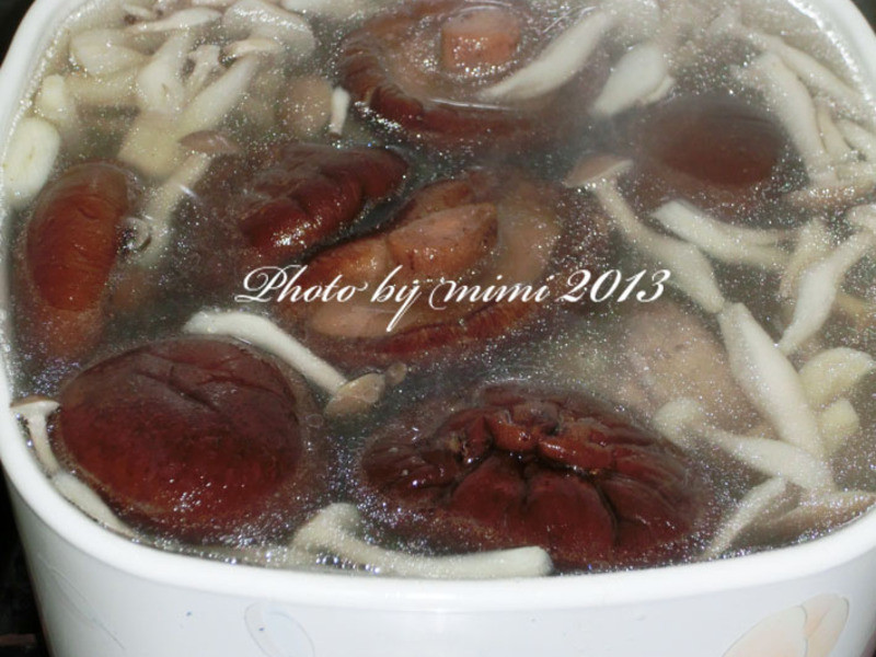 ������ͷ�Ź���������