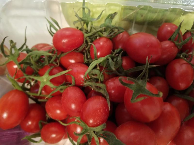 �帣��������������