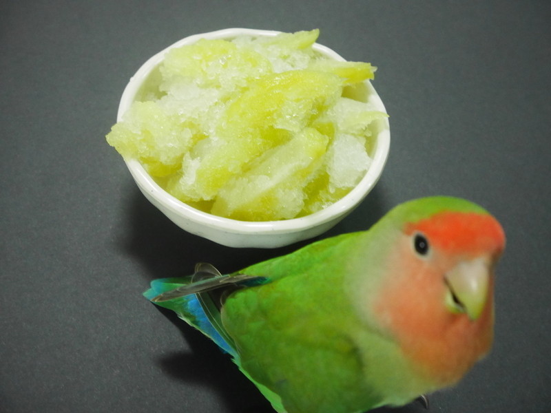 ���˹�(��â��)������